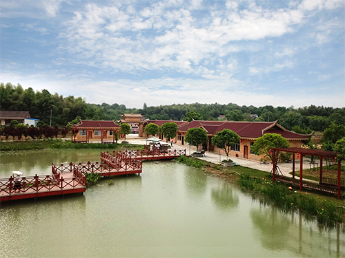 美麗湖南行#由湖南樹(shù)人農(nóng)林科技有限公司投資承建的洞庭花海將于“五一”盛大開(kāi)園