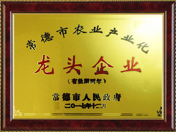 2017龍頭企業(yè)