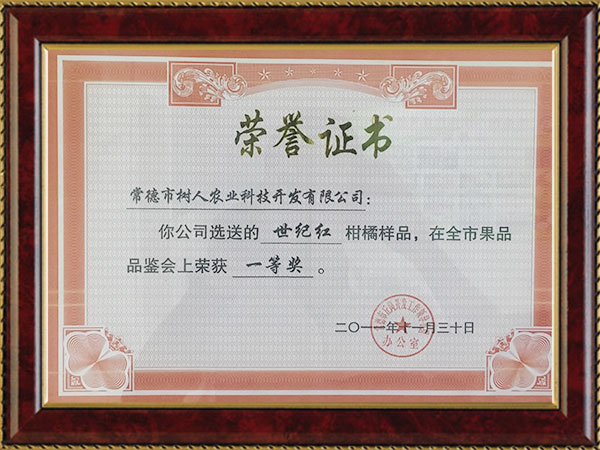 世紀紅2011榮譽證書