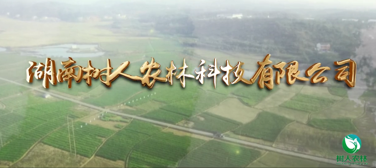 樹(shù)人公司簡(jiǎn)介