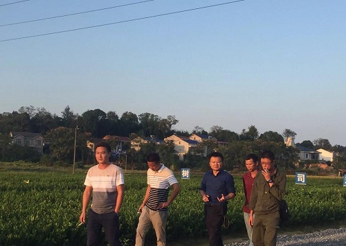 十月小陽春，栽苗好季節(jié)(附10月柑橘管理要點(diǎn))