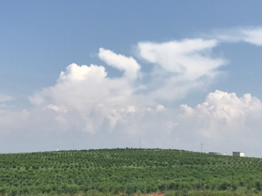 相伴七年，感恩有您—公司七周年小慶
