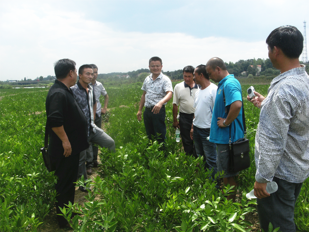 云南農(nóng)大教授、玉溪市經(jīng)作站站長一行前來公司考察交流