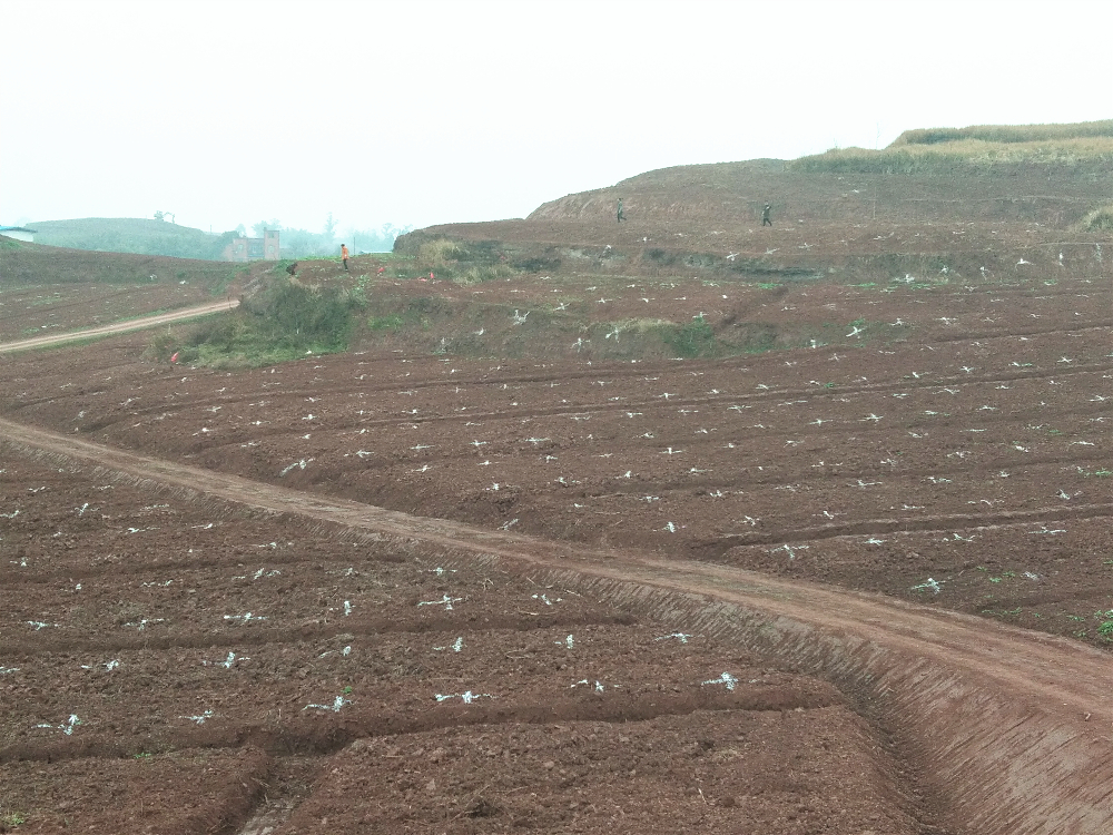 懷化市績效辦到市林業(yè)局督導(dǎo)