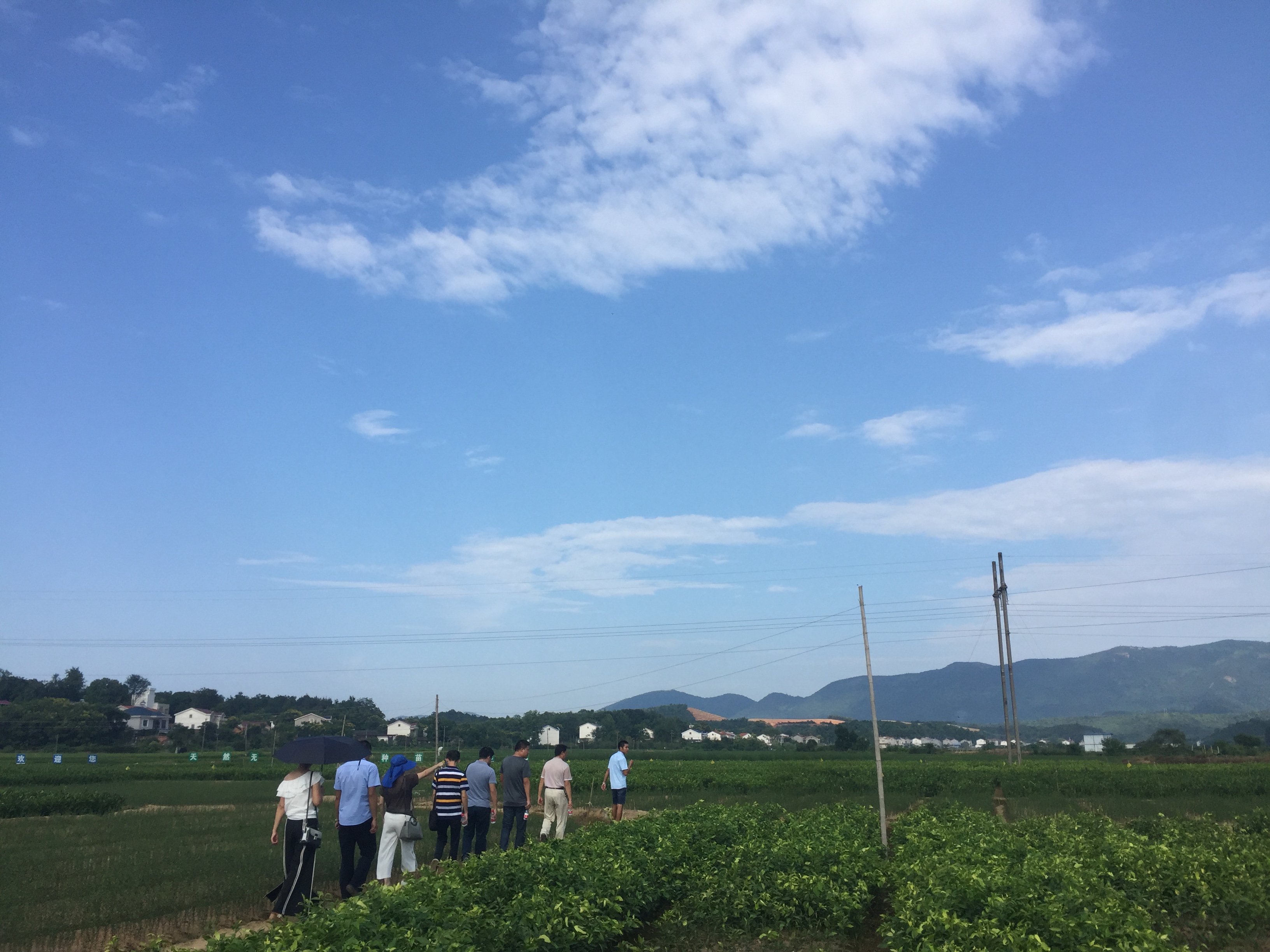 中國農(nóng)村現(xiàn)狀和解決辦法