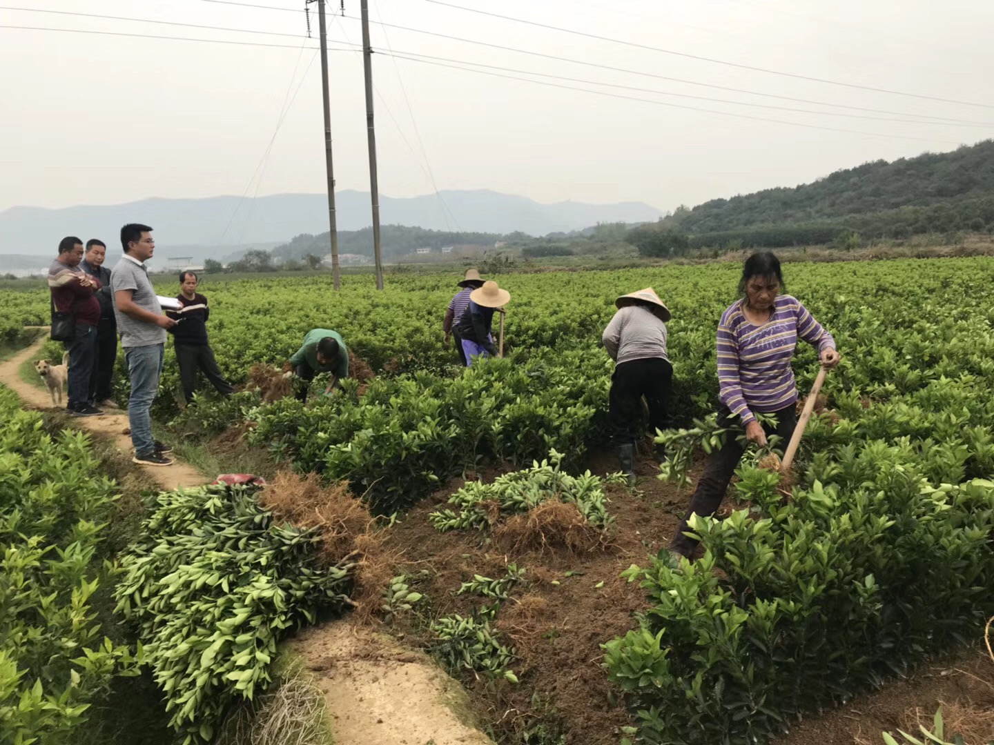 現(xiàn)代農(nóng)業(yè)企業(yè)上市座談會(huì)長沙舉行 探討上市難點(diǎn)
