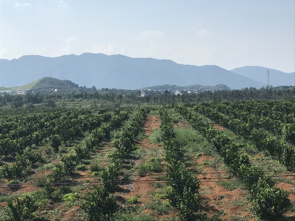 如何認(rèn)識(shí)30年農(nóng)村改革發(fā)展的巨大成就