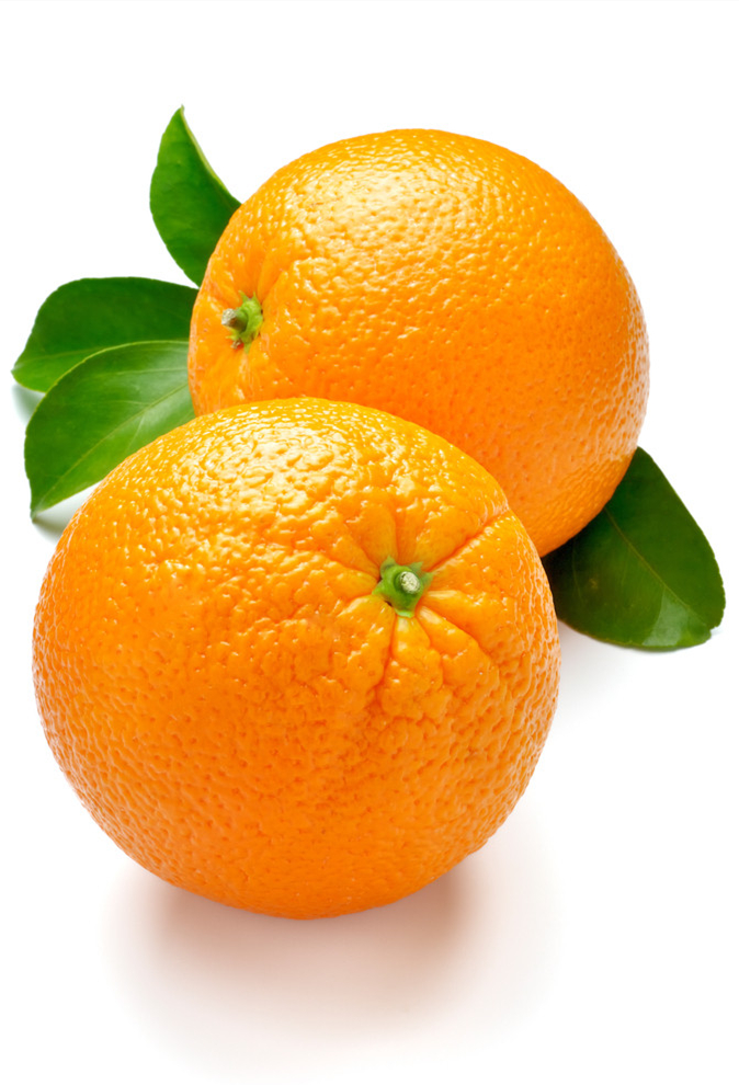 六月前柑桔樹管理技術(shù)要點(diǎn)