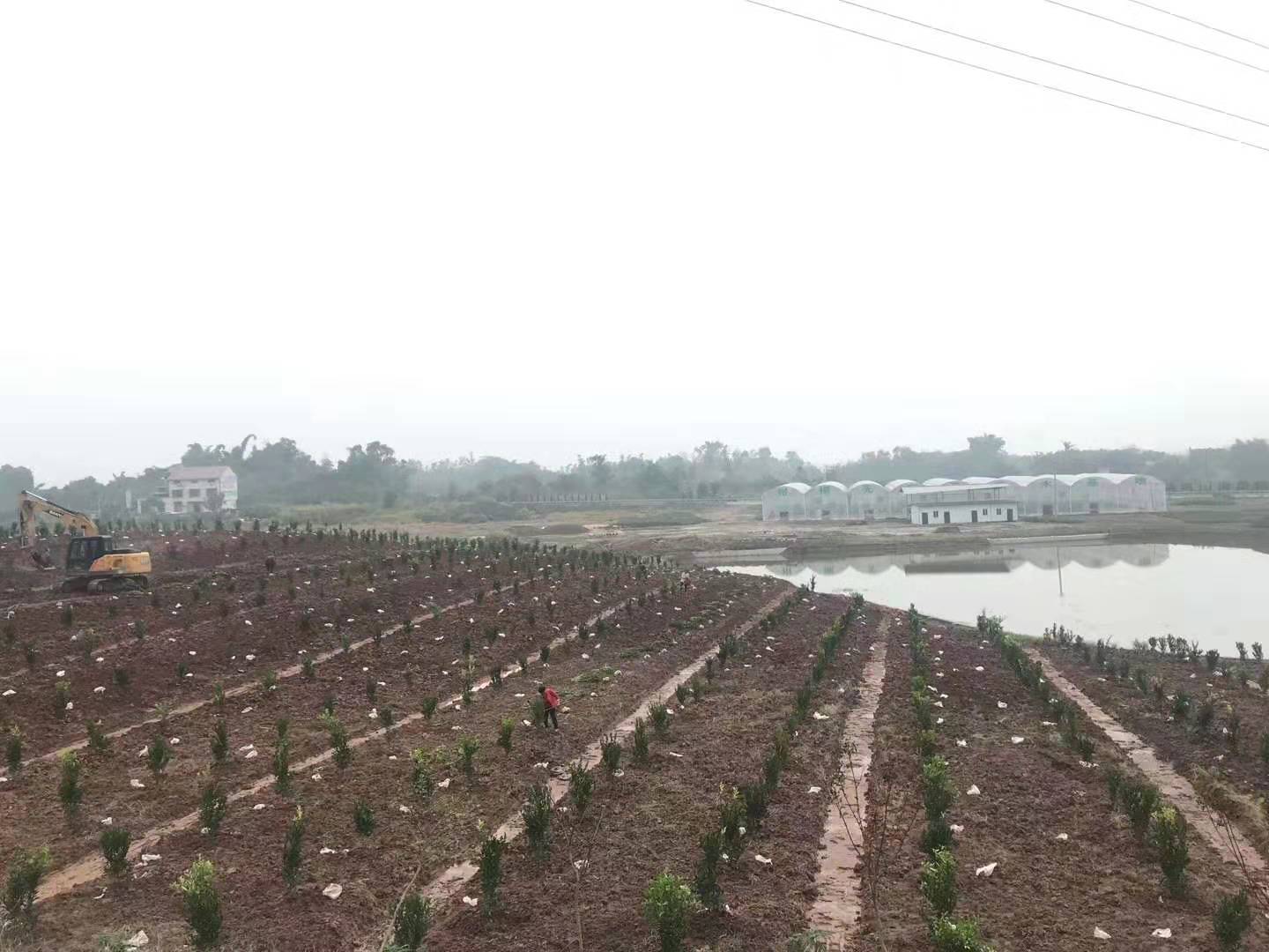 隆昌樹人公司優(yōu)質柑橘產業(yè)基地順利通過驗收