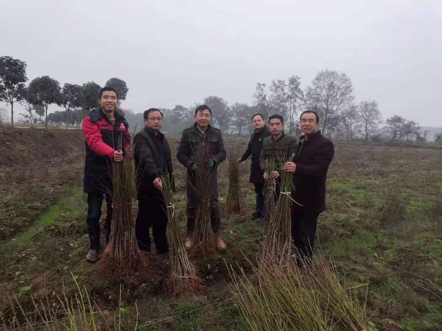 積極參與扶貧攻堅戰(zhàn)，樹人公司在行動