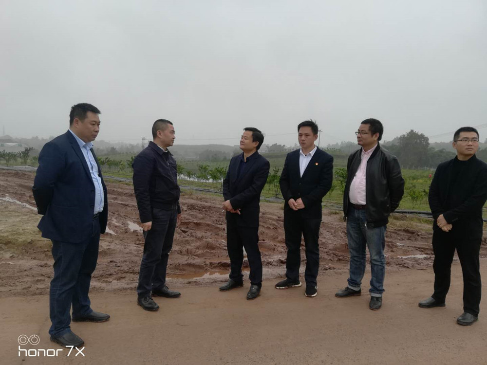 熱烈歡迎隆昌市委領(lǐng)導(dǎo)視察隆昌樹人農(nóng)業(yè)科技有限公司