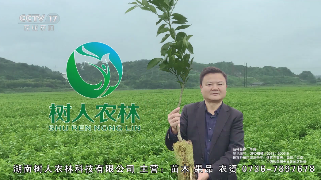 慶祝樹(shù)人農(nóng)林榮登CCTV 苗木促銷惠農(nóng)助農(nóng)活動(dòng)