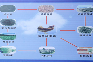 政策咨詢 政策咨詢