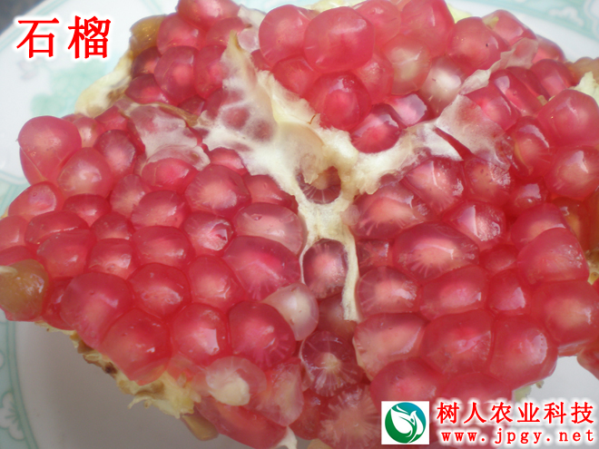 常德市萬(wàn)路達(dá)物流股份有限公司,常德危險(xiǎn)品運(yùn)輸服務(wù),普貨運(yùn)輸服務(wù),物流生活服務(wù)哪里好