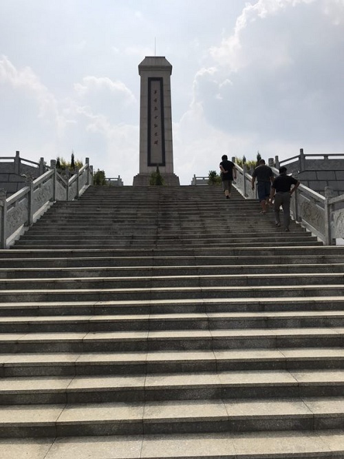 彩色油菜花的研究與開(kāi)發(fā)推廣