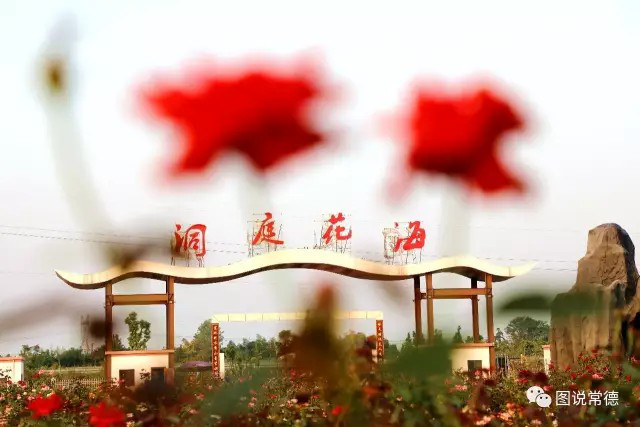 湖南樹人農(nóng)林科技有限公司,湖南柑橘品種銷售,中國果樹網(wǎng),常綠果樹類哪里好