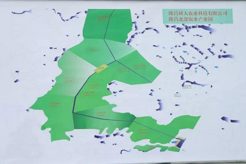 湖南樹人農(nóng)林科技有限公司,湖南柑橘品種銷售,中國果樹網(wǎng),常綠果樹類哪里好