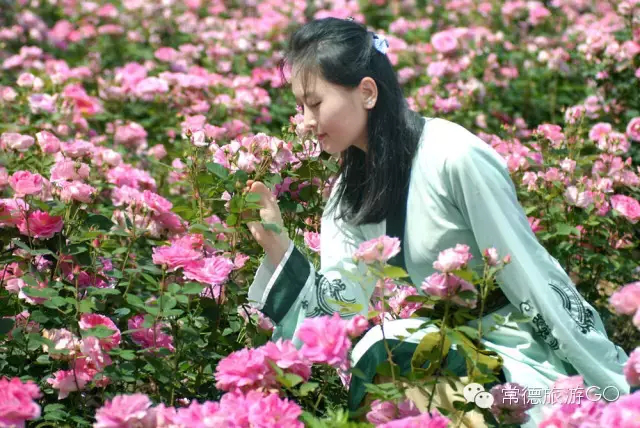 湖南樹人農(nóng)林科技有限公司,湖南柑橘品種銷售,中國(guó)果樹網(wǎng),常綠果樹類哪里好