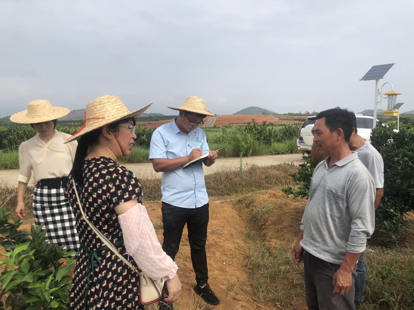 湖南樹人農林科技有限公司,湖南柑橘品種銷售,中國果樹網(wǎng),常綠果樹類哪里好