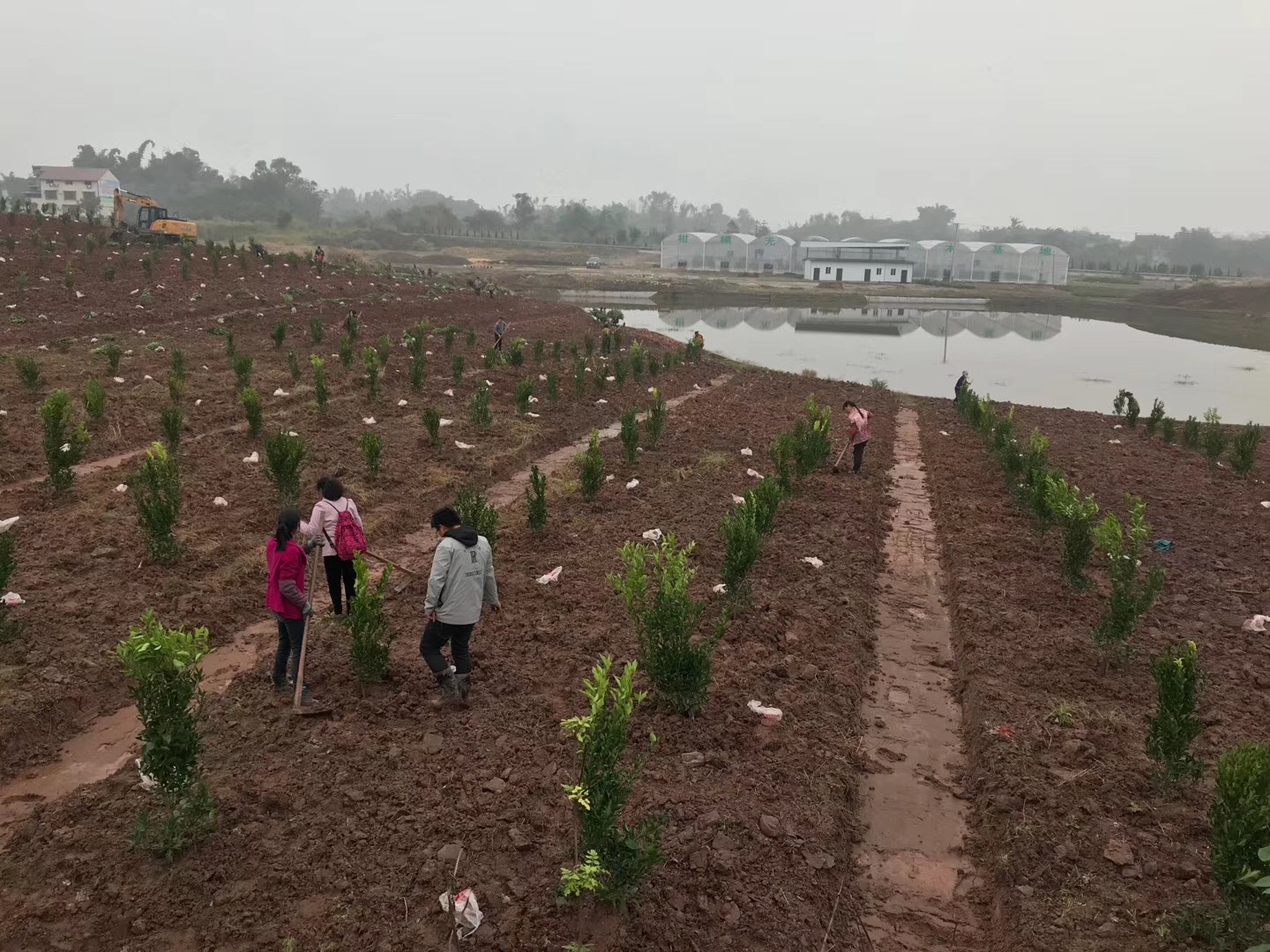 基地建設(shè) 基地建設(shè)