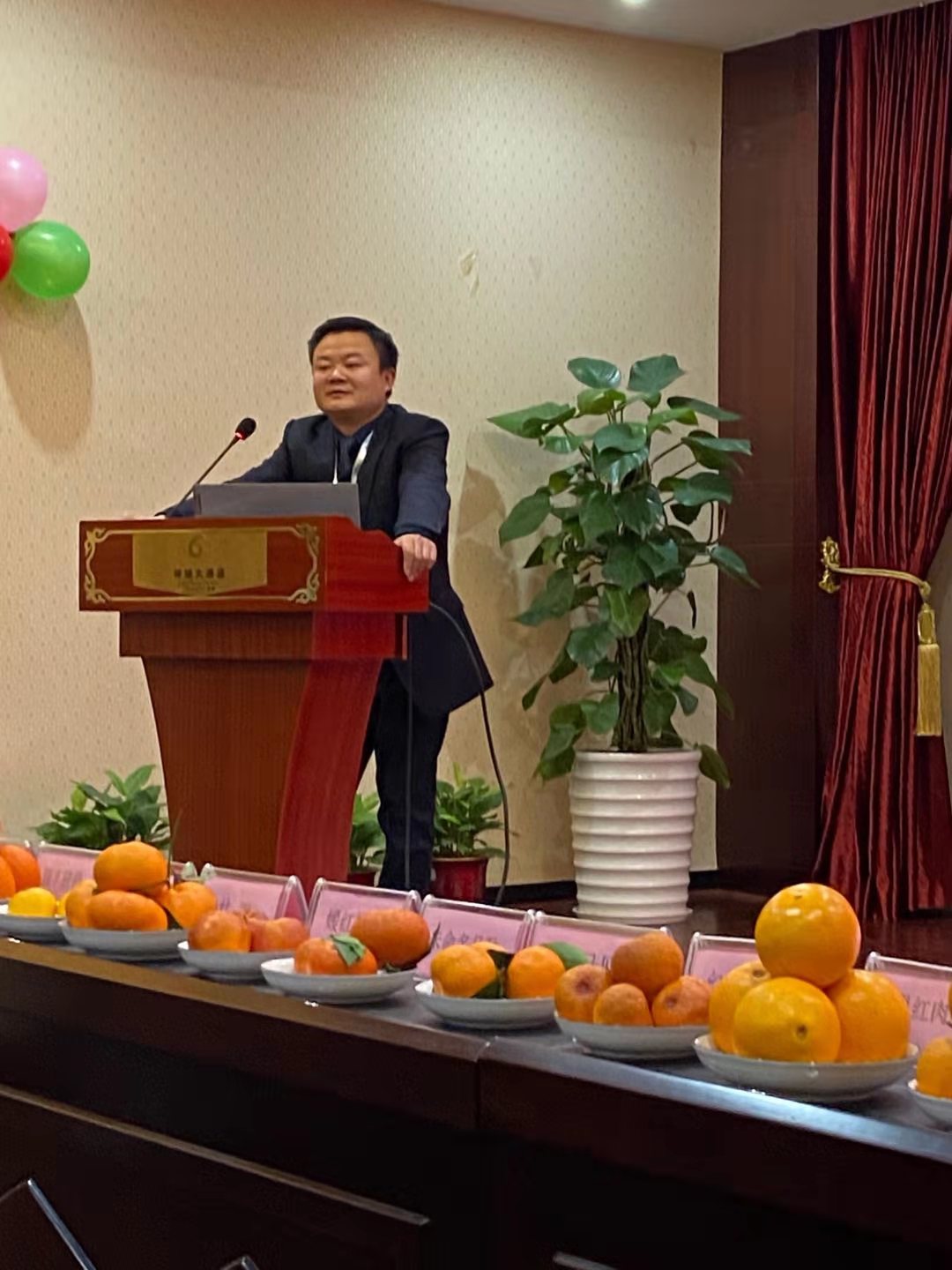 湖南樹(shù)人農(nóng)林科技有限公司,湖南柑橘品種銷售,中國(guó)果樹(shù)網(wǎng),常綠果樹(shù)類哪里好