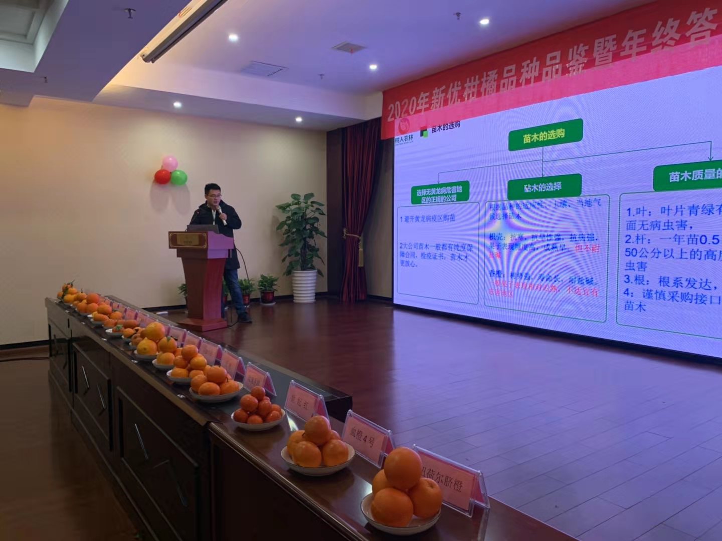 湖南樹(shù)人農(nóng)林科技有限公司,湖南柑橘品種銷售,中國(guó)果樹(shù)網(wǎng),常綠果樹(shù)類哪里好