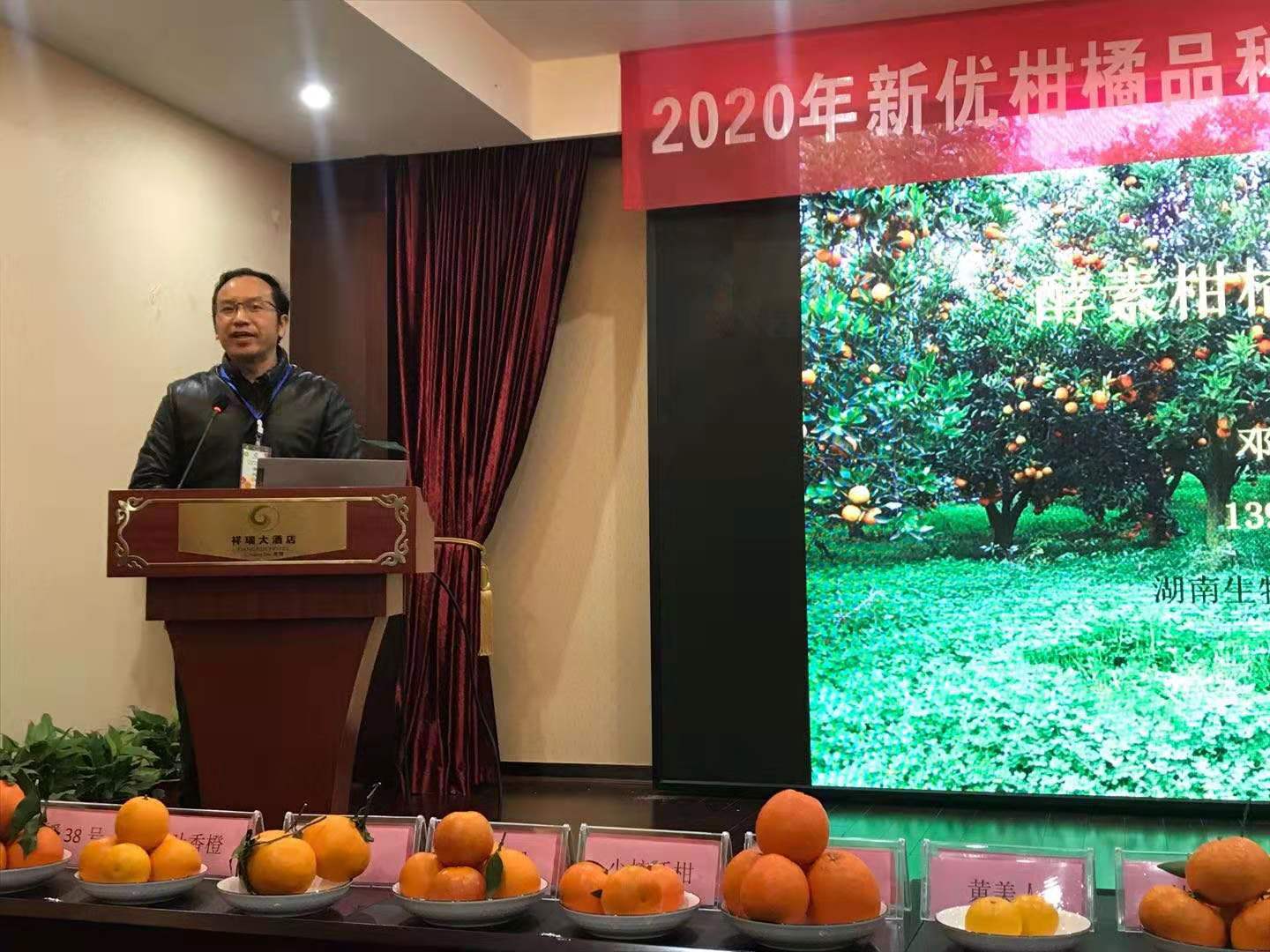 湖南樹(shù)人農(nóng)林科技有限公司,湖南柑橘品種銷售,中國(guó)果樹(shù)網(wǎng),常綠果樹(shù)類哪里好