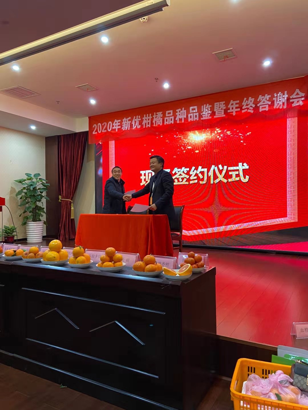 湖南樹(shù)人農(nóng)林科技有限公司,湖南柑橘品種銷售,中國(guó)果樹(shù)網(wǎng),常綠果樹(shù)類哪里好