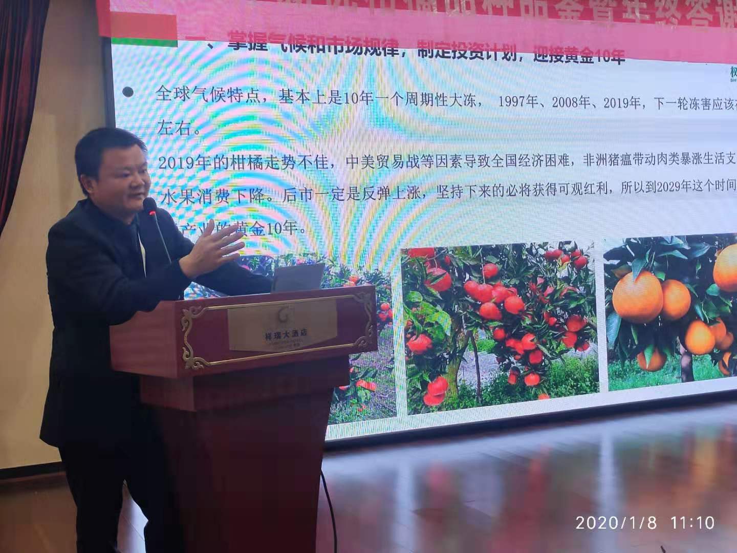 湖南樹(shù)人農(nóng)林科技有限公司,湖南柑橘品種銷售,中國(guó)果樹(shù)網(wǎng),常綠果樹(shù)類哪里好