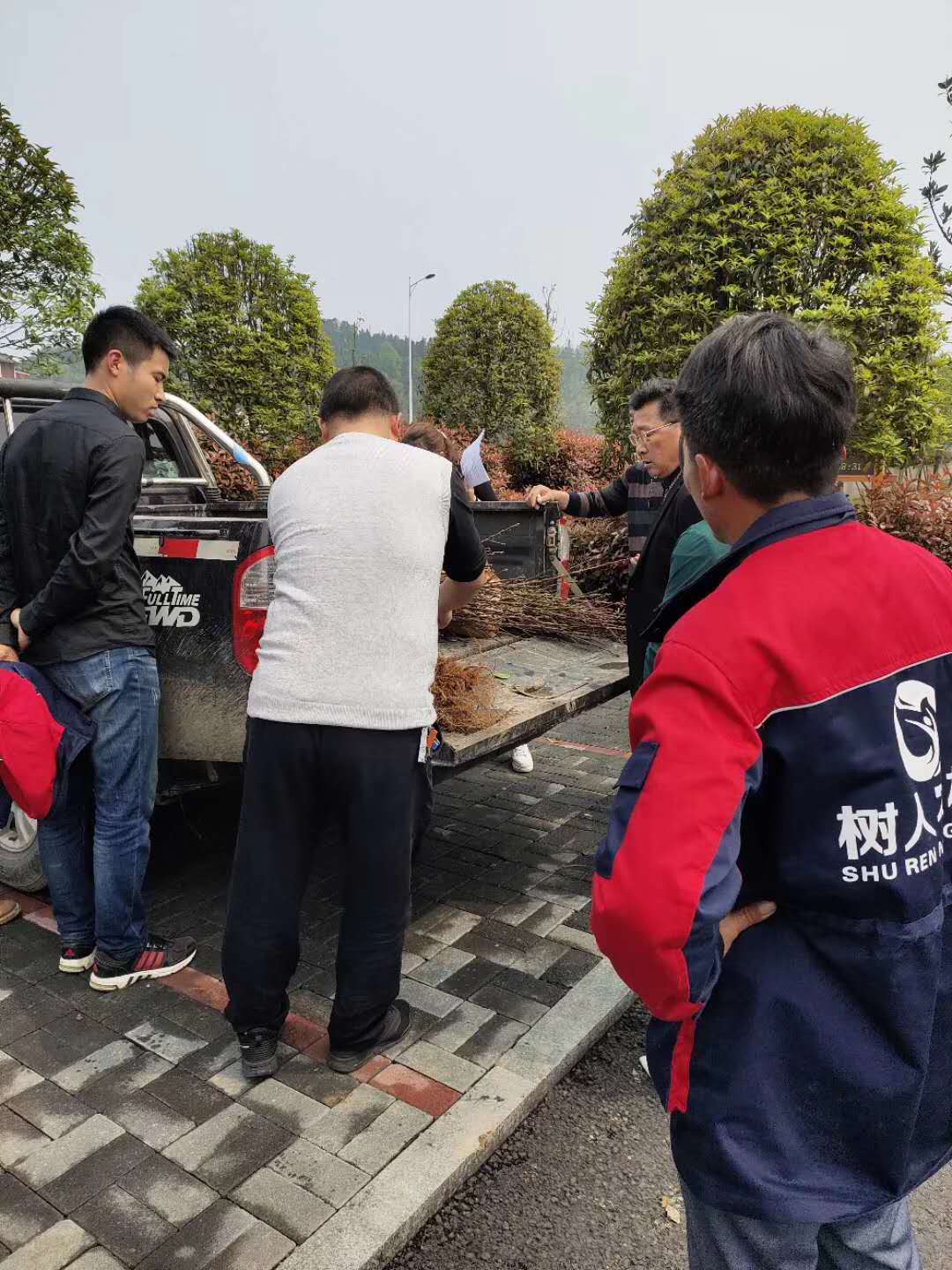 湖南樹人農(nóng)林科技有限公司,湖南柑橘品種銷售,中國果樹網(wǎng),常綠果樹類哪里好