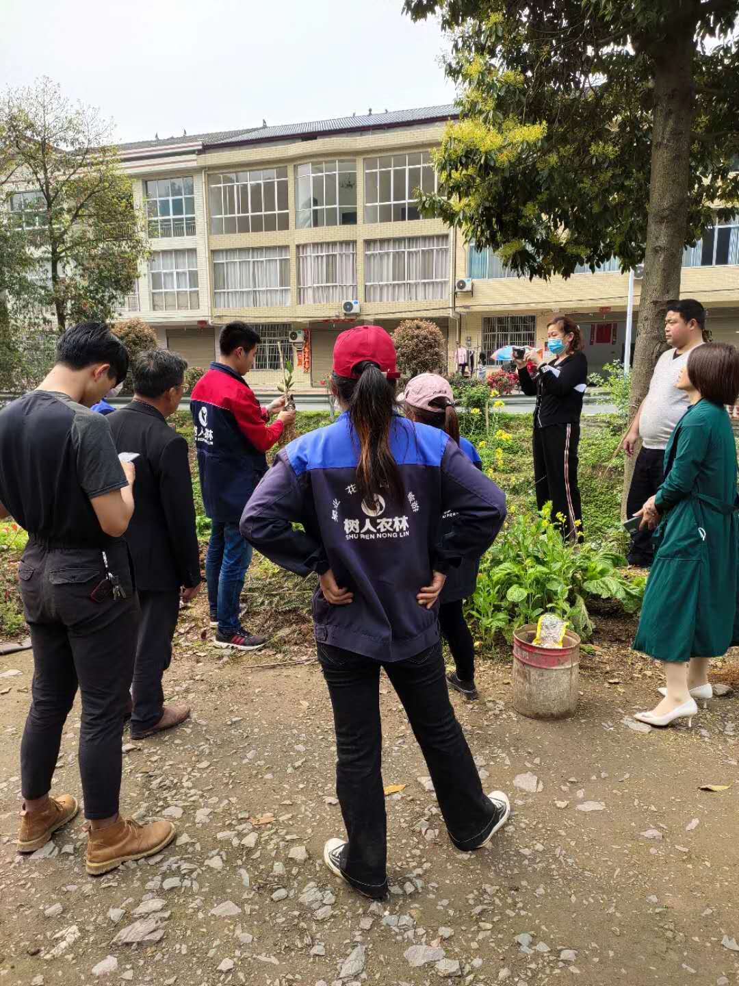 湖南樹人農(nóng)林科技有限公司,湖南柑橘品種銷售,中國果樹網(wǎng),常綠果樹類哪里好