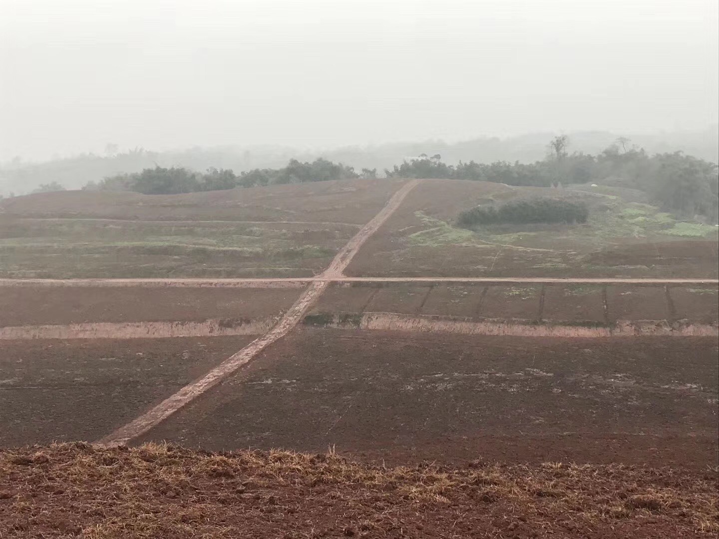 湖南樹(shù)人農(nóng)林科技有限公司,湖南柑橘品種銷售,中國(guó)果樹(shù)網(wǎng),常綠果樹(shù)類哪里好 湖南樹(shù)人農(nóng)林科技有限公司,湖南柑橘品種銷售,中國(guó)果樹(shù)網(wǎng),常綠果樹(shù)類哪里好