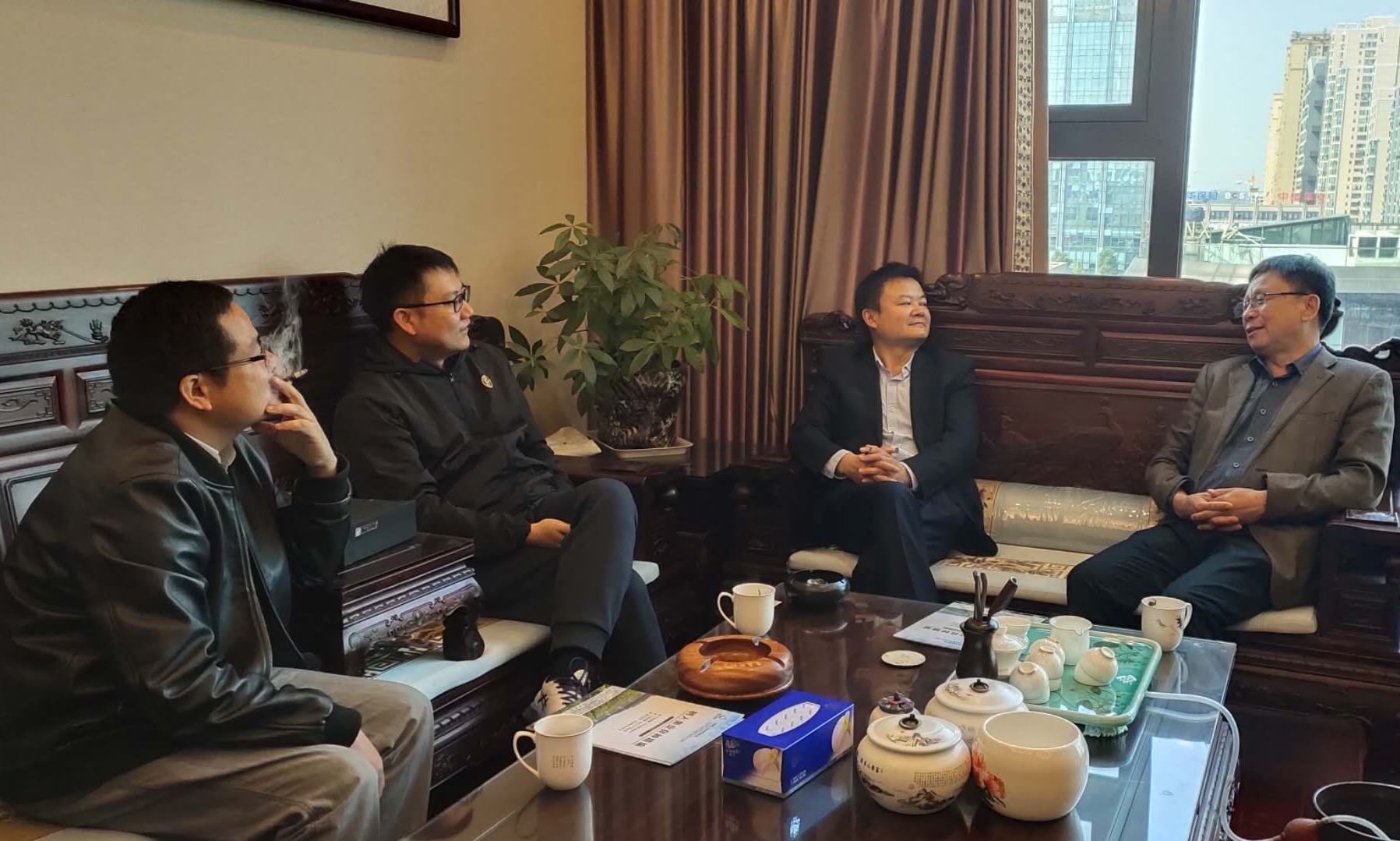 湖南樹人農(nóng)林科技有限公司,湖南柑橘品種銷售,中國果樹網(wǎng),常綠果樹類哪里好