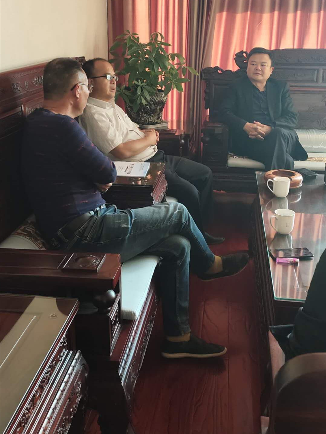 湖南樹人農(nóng)林科技有限公司,湖南柑橘品種銷售,中國果樹網(wǎng),常綠果樹類哪里好