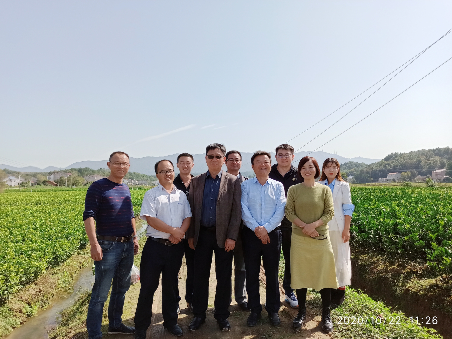 湖南樹人農(nóng)林科技有限公司,湖南柑橘品種銷售,中國果樹網(wǎng),常綠果樹類哪里好