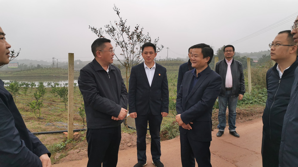 湖南樹人農(nóng)林科技有限公司,湖南柑橘品種銷售,中國(guó)果樹網(wǎng),常綠果樹類哪里好