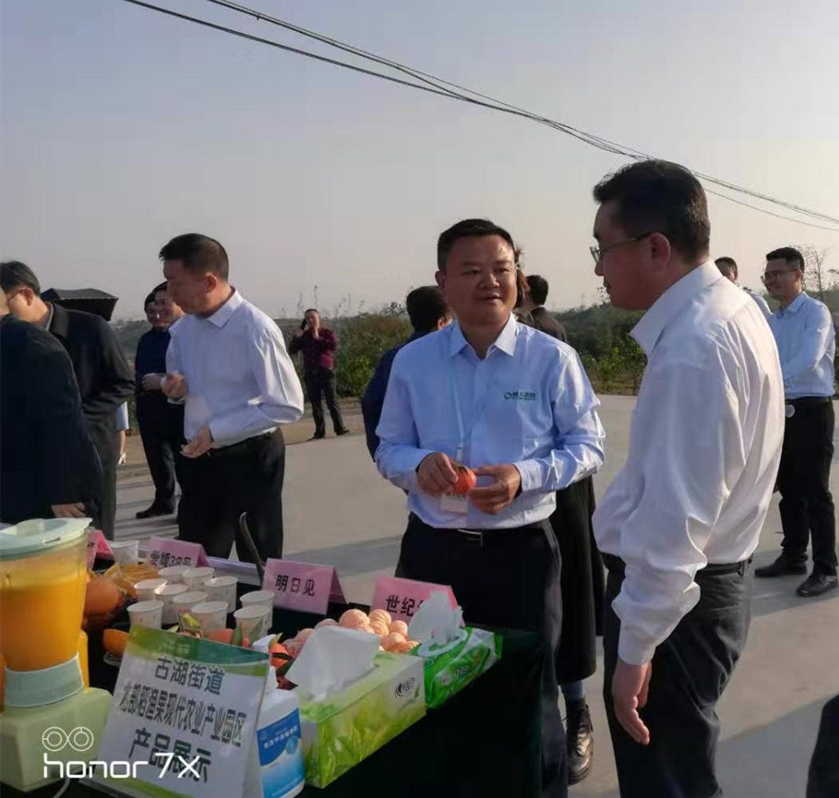 湖南樹人農(nóng)林科技有限公司,湖南柑橘品種銷售,中國果樹網(wǎng),常綠果樹類哪里好 湖南樹人農(nóng)林科技有限公司,湖南柑橘品種銷售,中國果樹網(wǎng),常綠果樹類哪里好