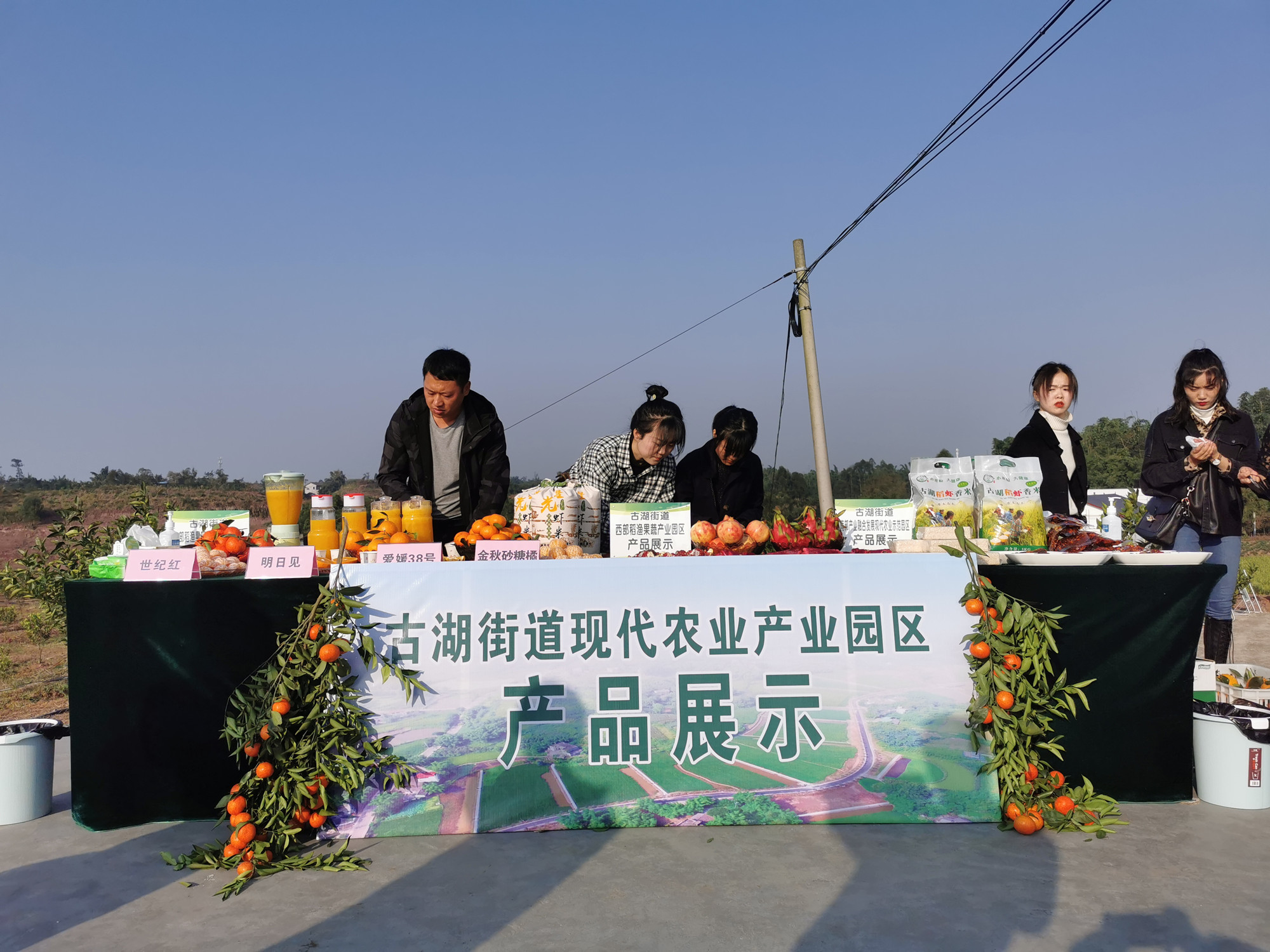 湖南樹人農(nóng)林科技有限公司,湖南柑橘品種銷售,中國果樹網(wǎng),常綠果樹類哪里好 湖南樹人農(nóng)林科技有限公司,湖南柑橘品種銷售,中國果樹網(wǎng),常綠果樹類哪里好