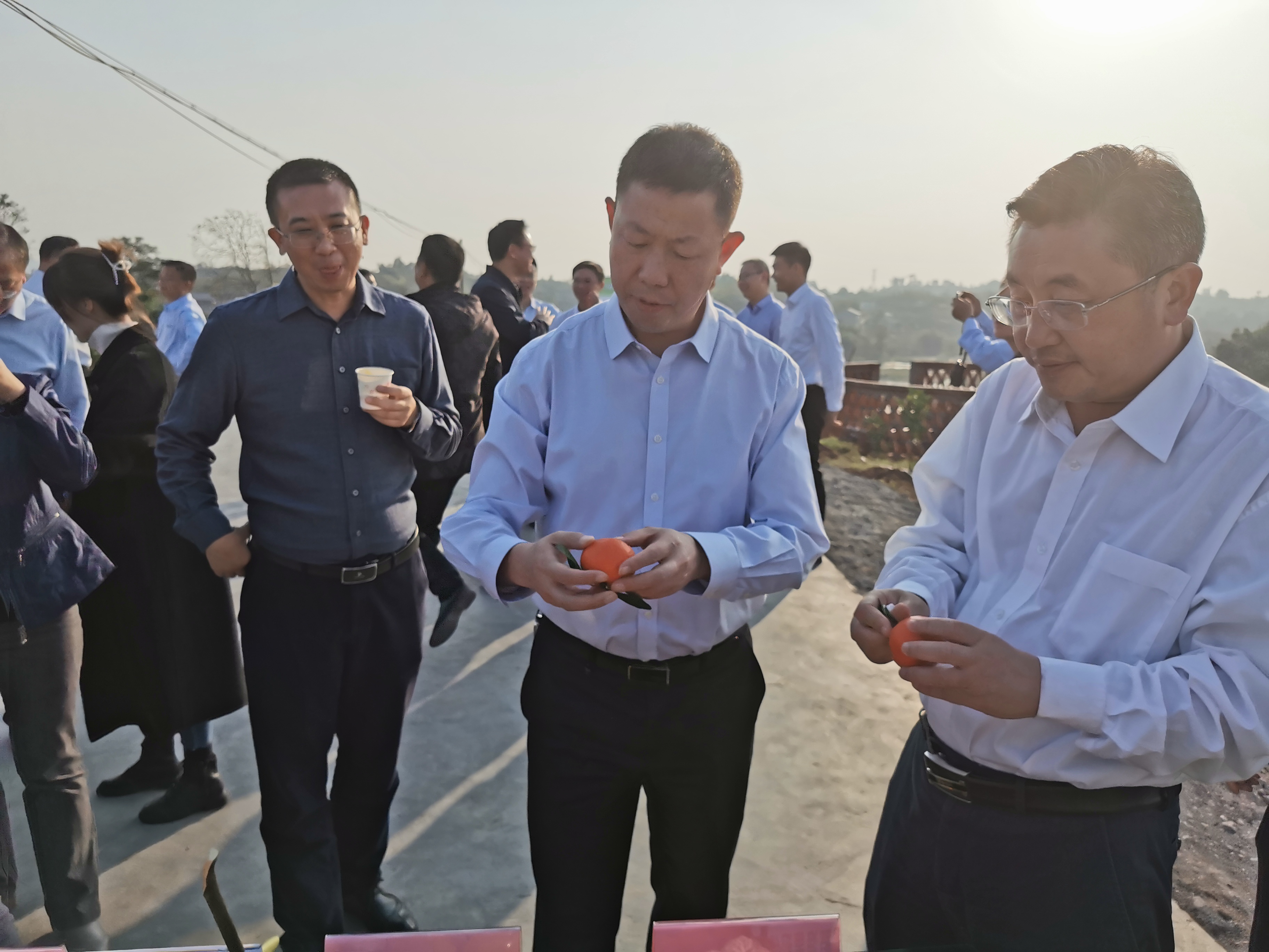 湖南樹人農(nóng)林科技有限公司,湖南柑橘品種銷售,中國果樹網(wǎng),常綠果樹類哪里好 湖南樹人農(nóng)林科技有限公司,湖南柑橘品種銷售,中國果樹網(wǎng),常綠果樹類哪里好