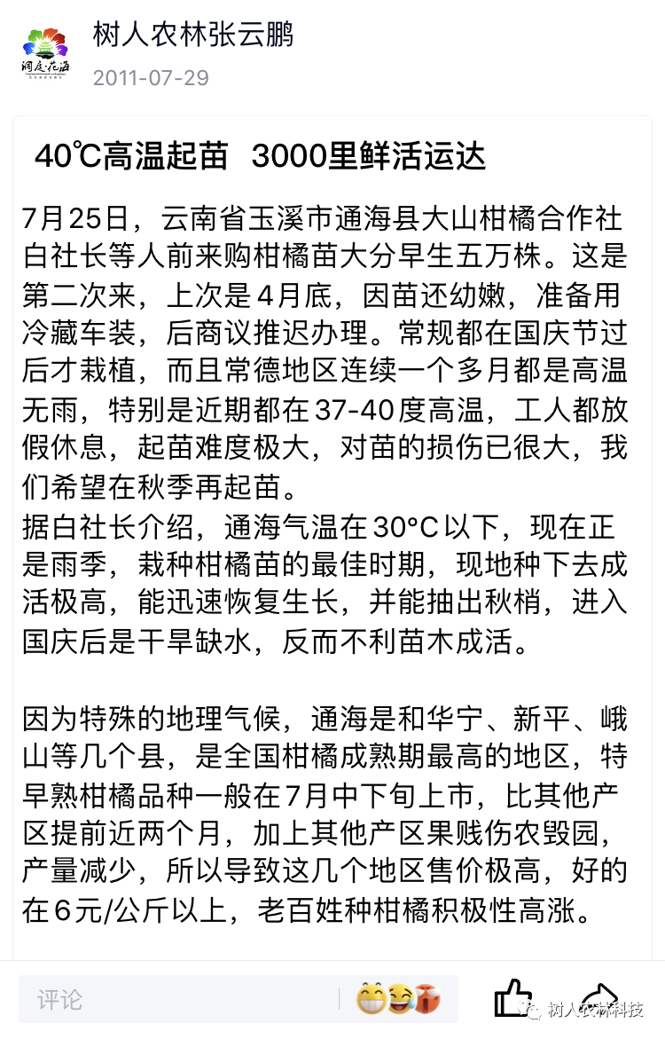 湖南樹(shù)人農(nóng)林科技有限公司,湖南柑橘品種銷(xiāo)售,中國(guó)果樹(shù)網(wǎng),常綠果樹(shù)類(lèi)哪里好