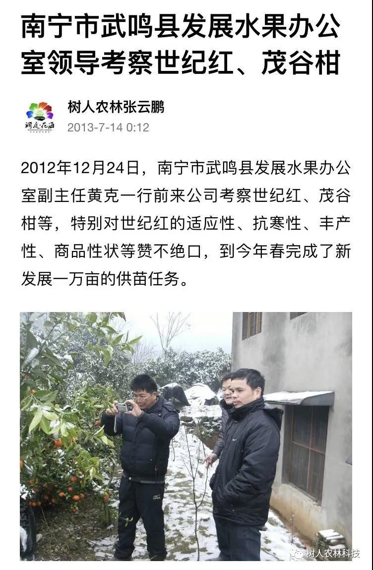 湖南樹(shù)人農(nóng)林科技有限公司,湖南柑橘品種銷(xiāo)售,中國(guó)果樹(shù)網(wǎng),常綠果樹(shù)類(lèi)哪里好