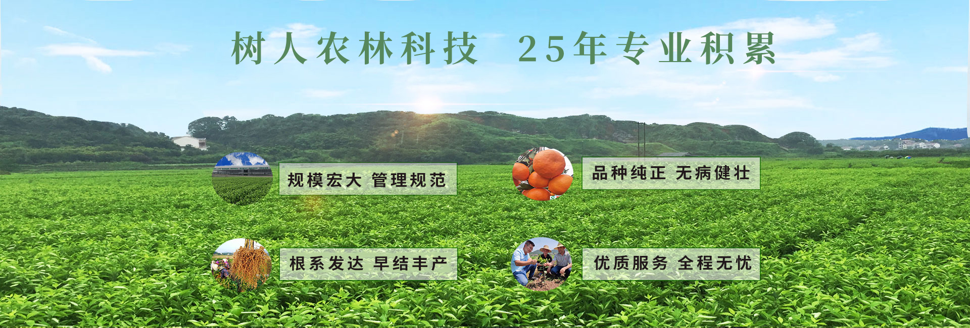 湖南樹(shù)人農(nóng)林科技有限公司_樹(shù)人農(nóng)林丨樹(shù)人農(nóng)業(yè)丨農(nóng)業(yè)科技丨現(xiàn)代農(nóng)業(yè)丨柑橘丨柑橘苗木丨果樹(shù)苗木丨綠化苗木丨種子種苗丨田園綜合體丨鄉(xiāng)村旅游丨觀(guān)光休閑等