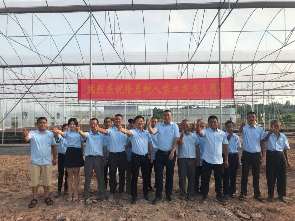 湖南樹人農(nóng)林科技有限公司,湖南柑橘品種銷售,中國果樹網(wǎng),常綠果樹類哪里好