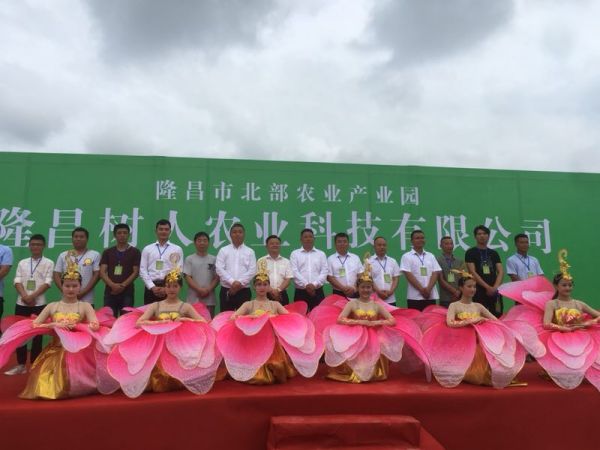 湖南樹人農(nóng)林科技有限公司,湖南柑橘品種銷售,中國果樹網(wǎng),常綠果樹類哪里好