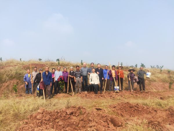 湖南樹人農(nóng)林科技有限公司,湖南柑橘品種銷售,中國果樹網(wǎng),常綠果樹類哪里好